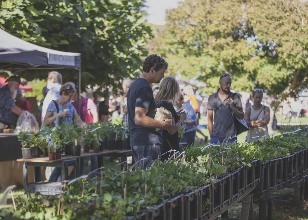 Hawke's Bay farmers market with shoppers browsing fresh produce and plants